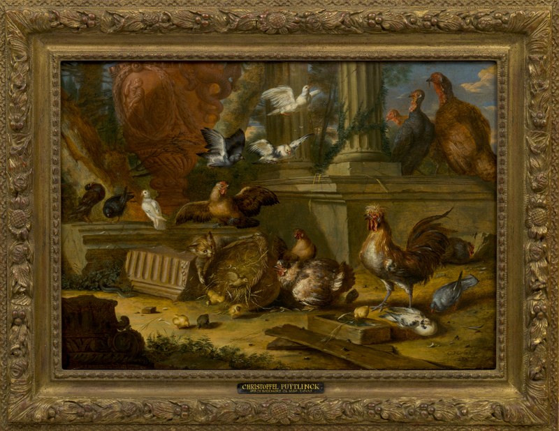 Kat en pluimvee, Hoenderhof