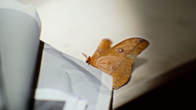 Where I'm Calling From